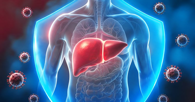 India Targets Hepatitis Elimination by 2030: Who Should Get Tested for Hepatitis B and C?