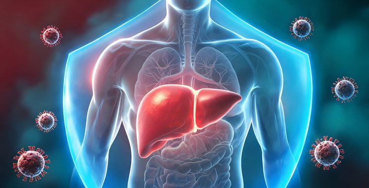 Hepatitis B or C? Let’s Understand the Difference, Symptoms and Treatment